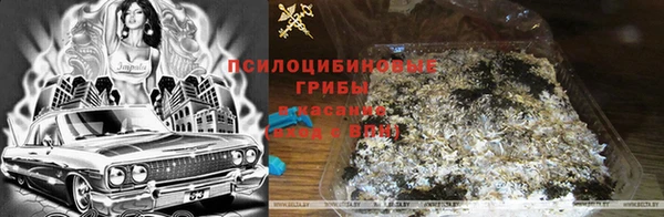 кокаин премиум Новодвинск
